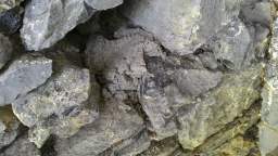 acastle
                          110795.jpg